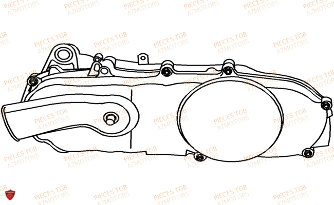 Moteur TGB Pieces TGB_X_MOTION_250 (No Serie RFCCUBCUB...Type: CUB-B)

