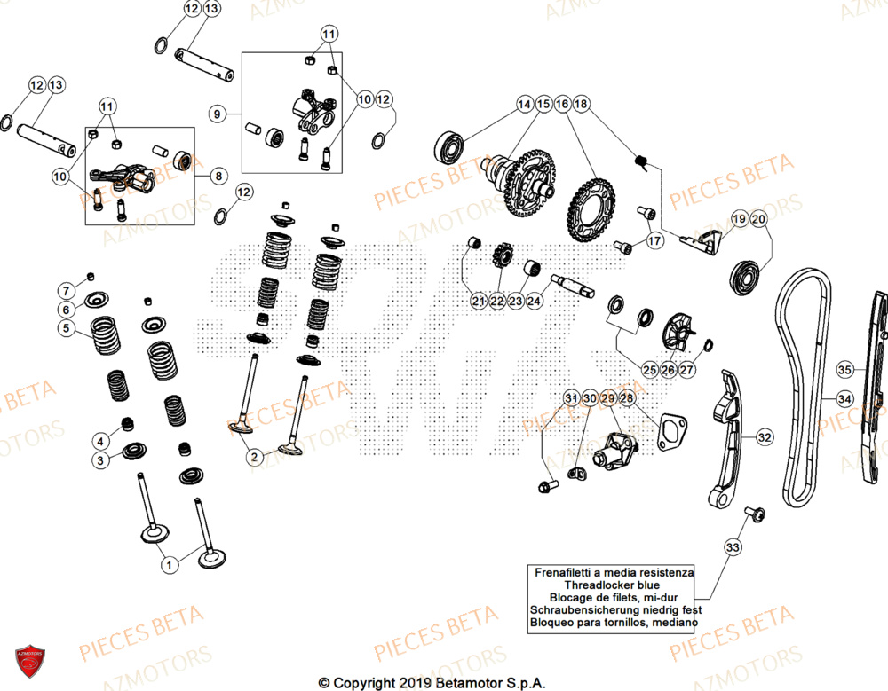 Distribution AZMOTORS Pieces BETA TRIAL EVO 300 4T - (2025)