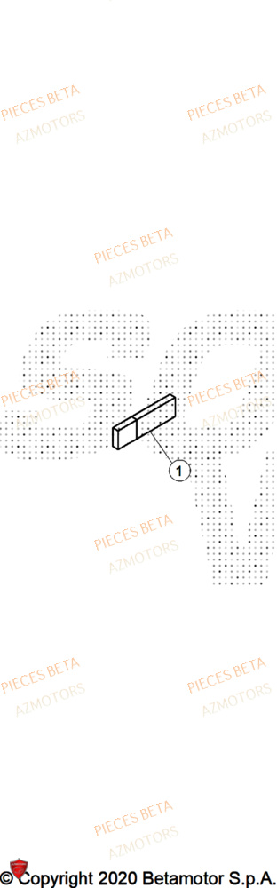 Manuel AZMOTORS Pieces BETA TRIAL EVO 300 4T - (2025)