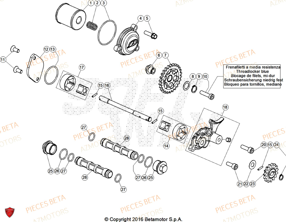 Pompe A Huile AZMOTORS Pieces BETA TRIAL EVO 300 4T - (2025)