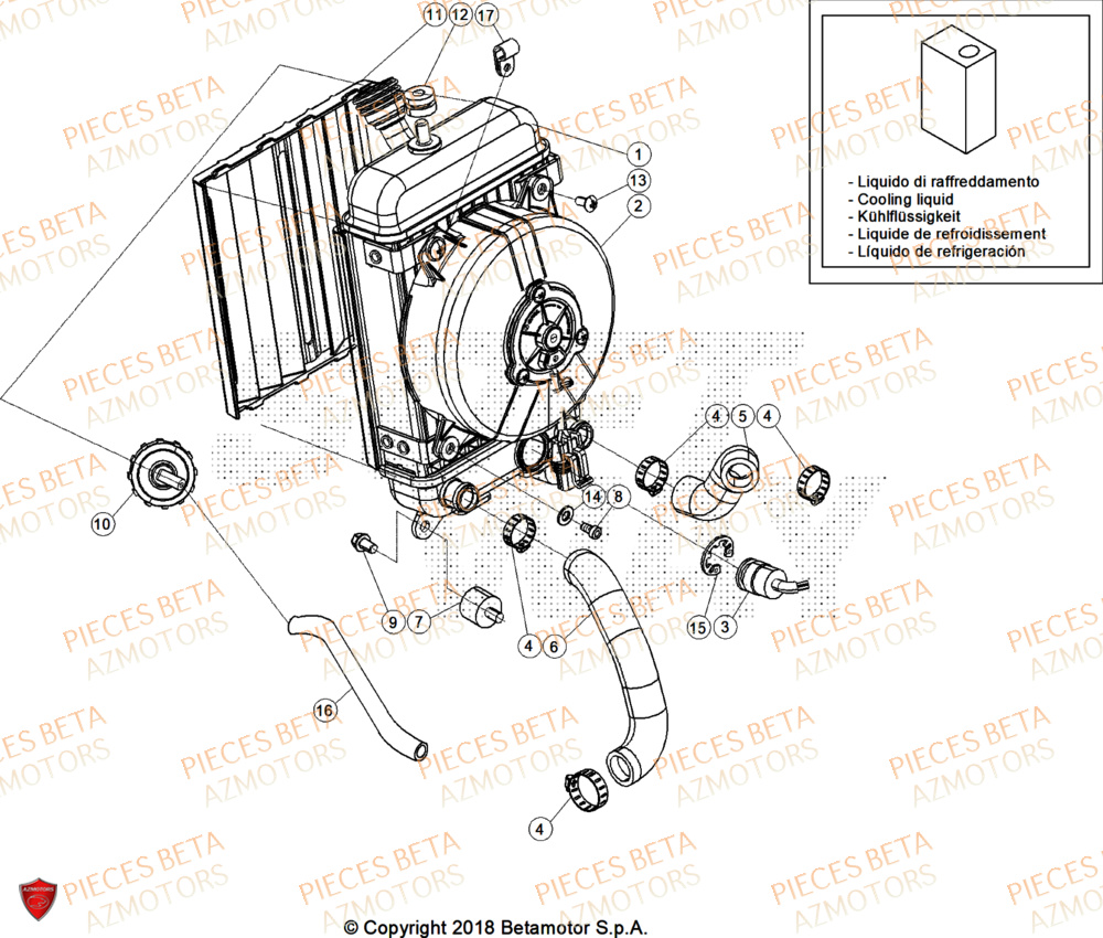 Radiateur BETA Pieces BETA TRIAL EVO 300 4T - (2026)