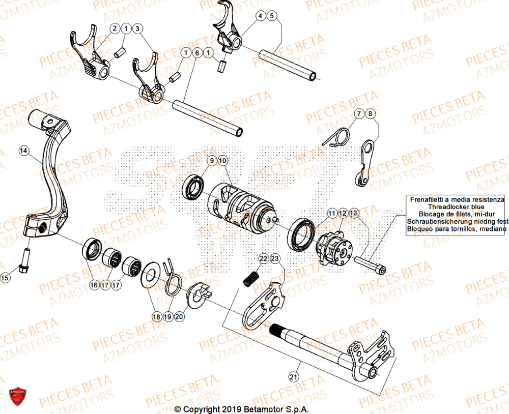 Selecteur De Vitesses BETA Pieces BETA TRIAL EVO 300 4T - (2026)