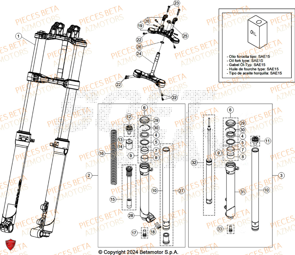 Fourche BETA Pièces BETA EVO 300 2T - [2025]