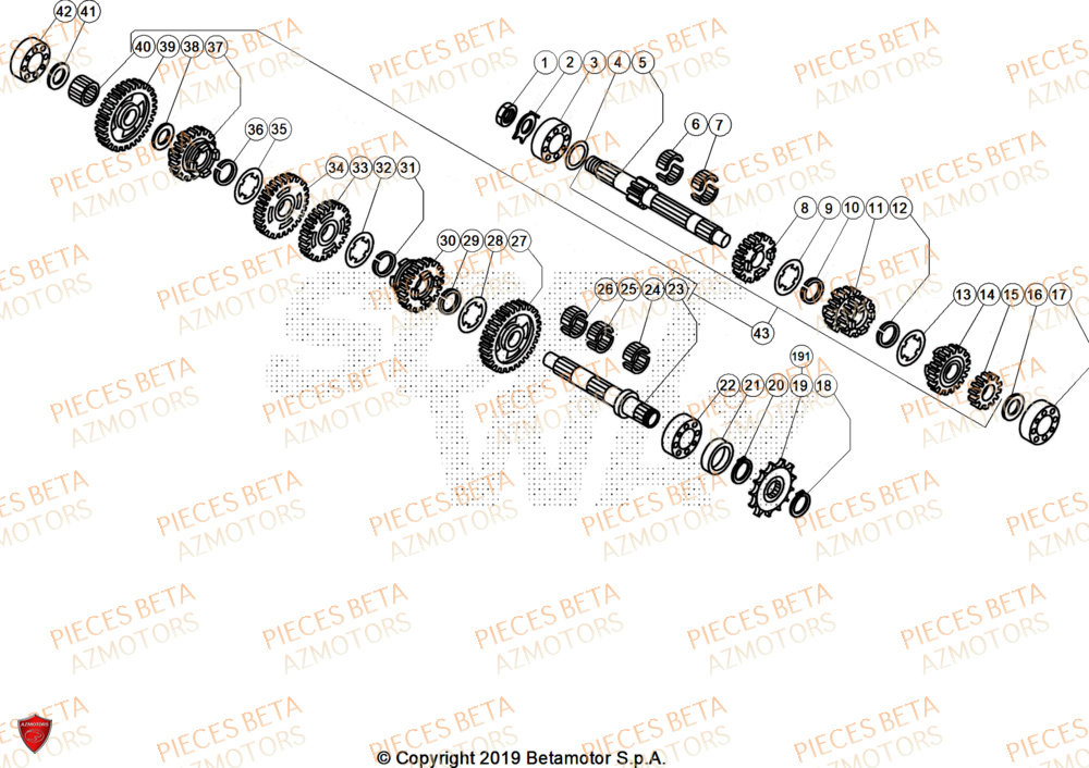 Transmission BETA Pièces BETA EVO 300 2T - [2025]
