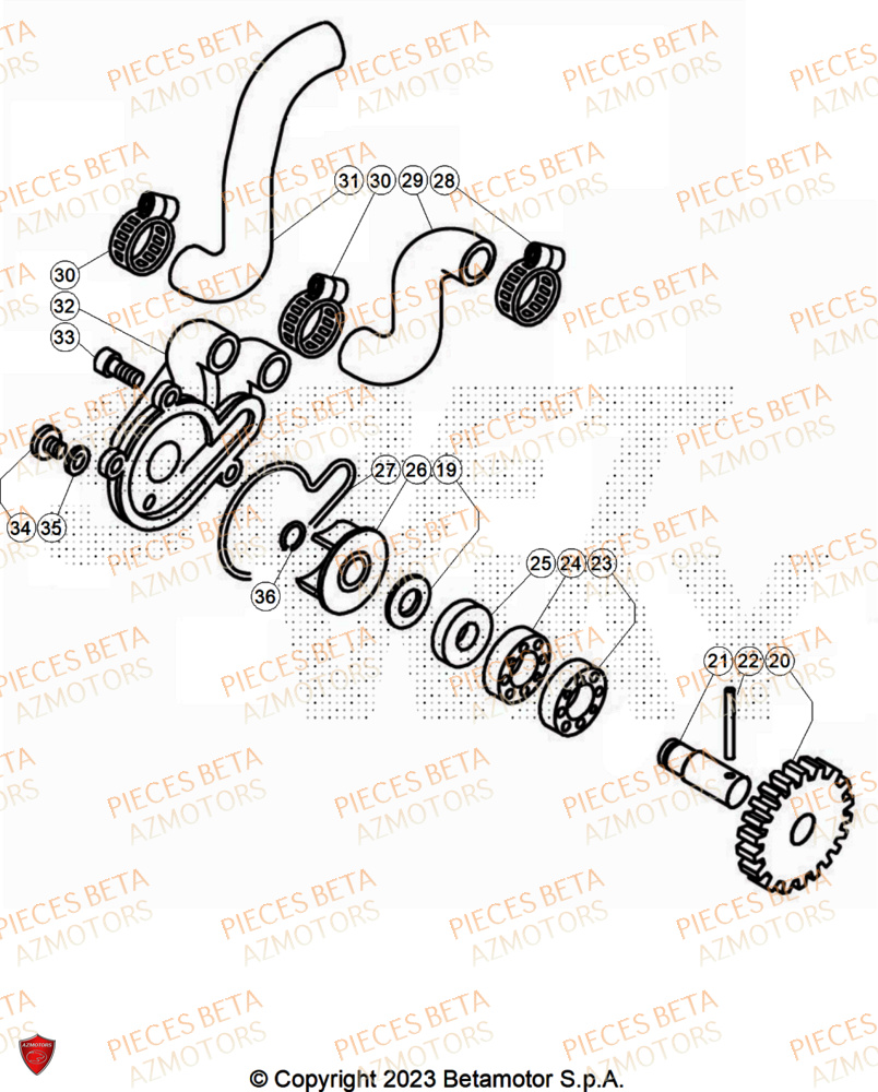 Pompe A Eau BETA Pieces BETA TRIAL EVO 300 2T SS - (2025)