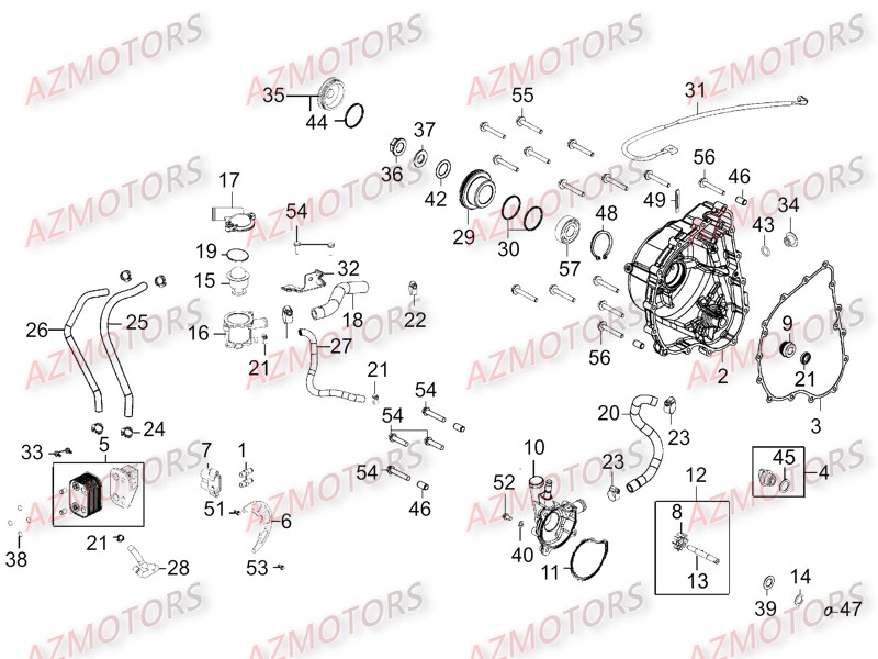 Carter Droit Pompe A Eau AZMOTORS 