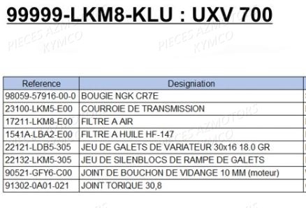 1 SET ENTRETIEN AZMOTORS UXV 700I EPS E4