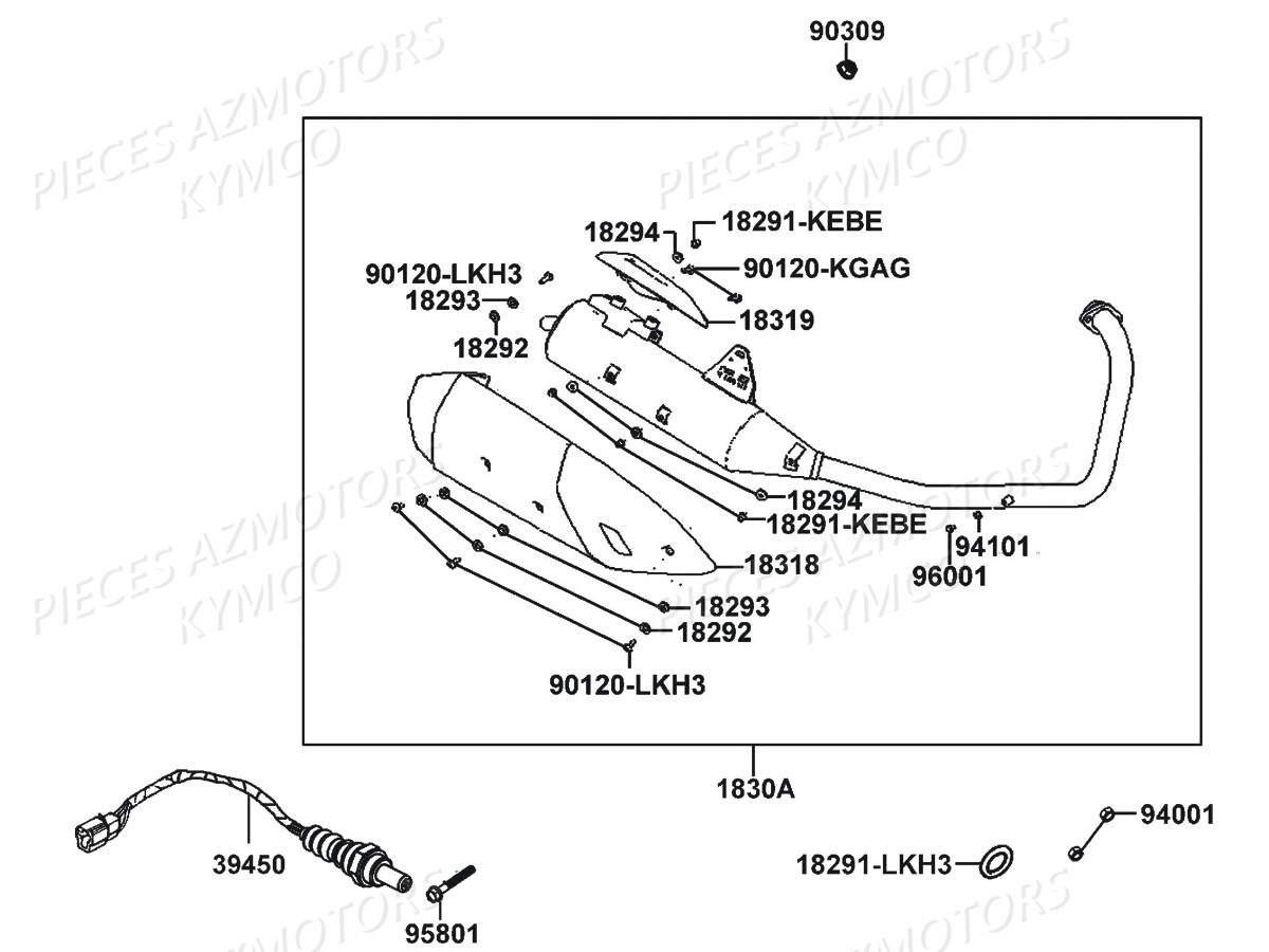 ECHAPPEMENT pour VISAR 125