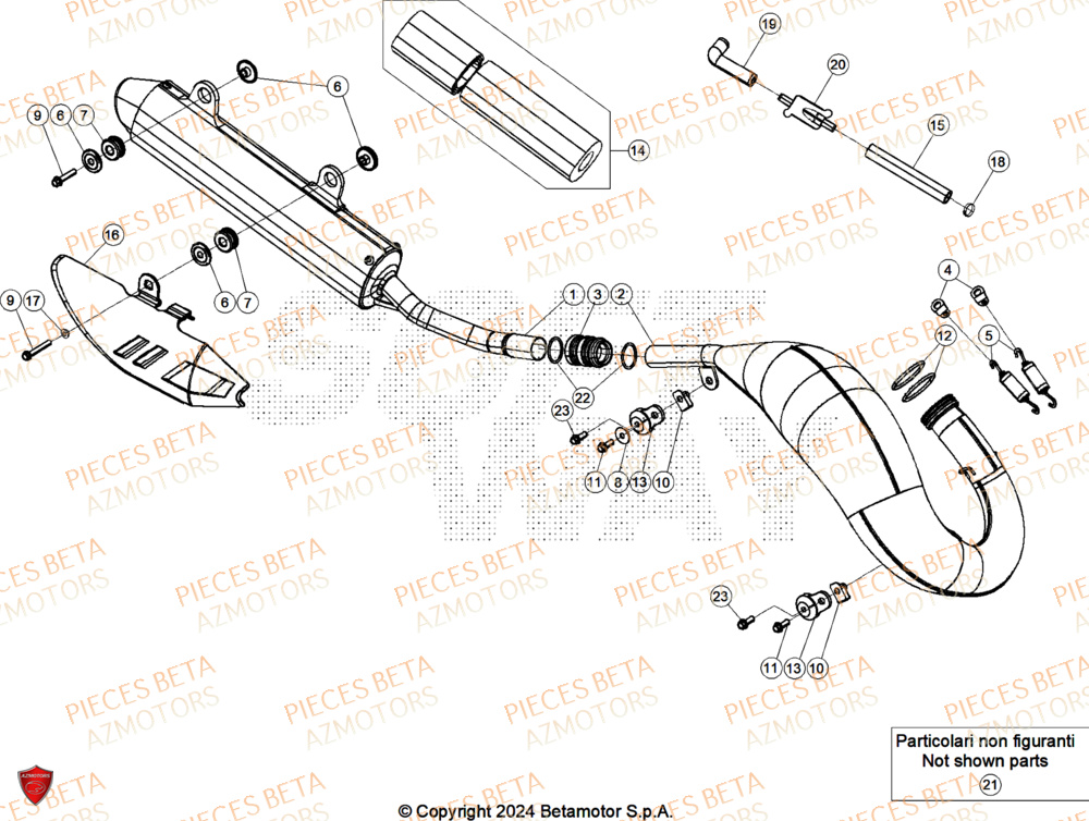 Echappement BETA Pieces Beta RR 200 X-PRO 2T - 2026