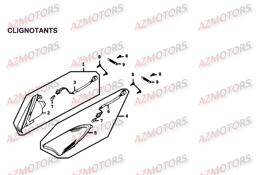 CLIGNOTANTS pour XCITING-500-II