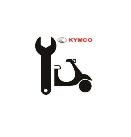 BATTERIE YTX14-BS YUASA (ORIGINE) KYMCO pour 1.CONSOMMABLES de XCITING 500 RI MMC ABS 4T