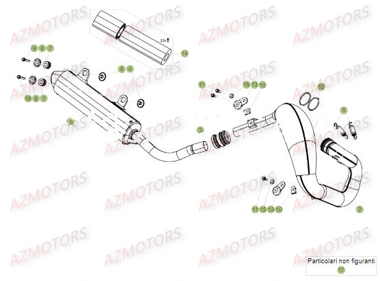 ECHAPPEMENT pour XTRAINER 250 MY18