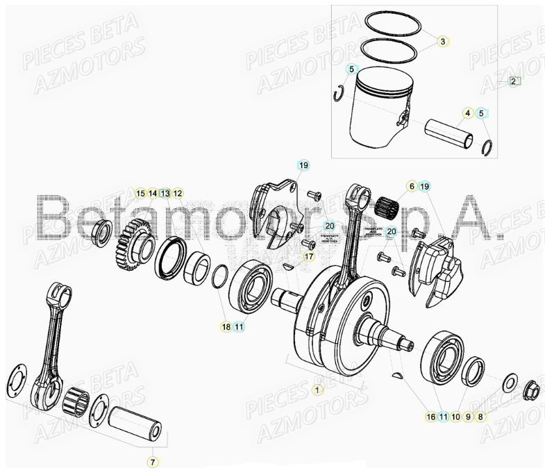 VILEBREQUIN pour XTRAINER 250 MY19