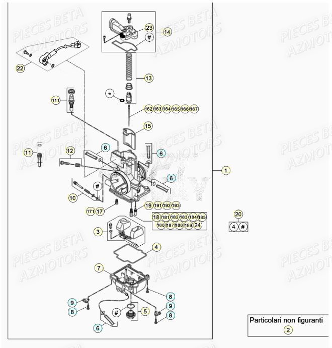 Carburateur BETA Pieces BETA RR XTRAINER 250 2T - (2020)