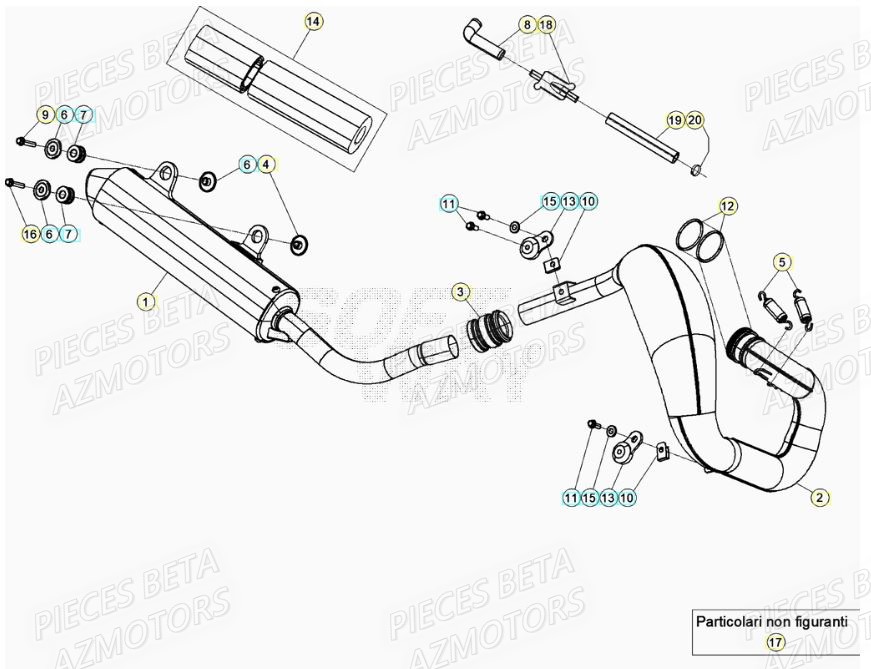 Echappement BETA Pieces BETA RR XTRAINER 250 2T - (2020)