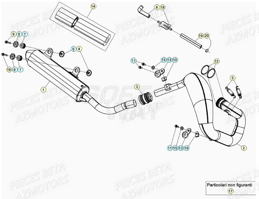 ECHAPPEMENT pour XTRAINER 250 MY20