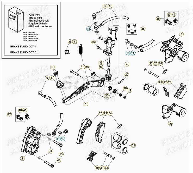 FREINS pour XTRAINER 250 MY20