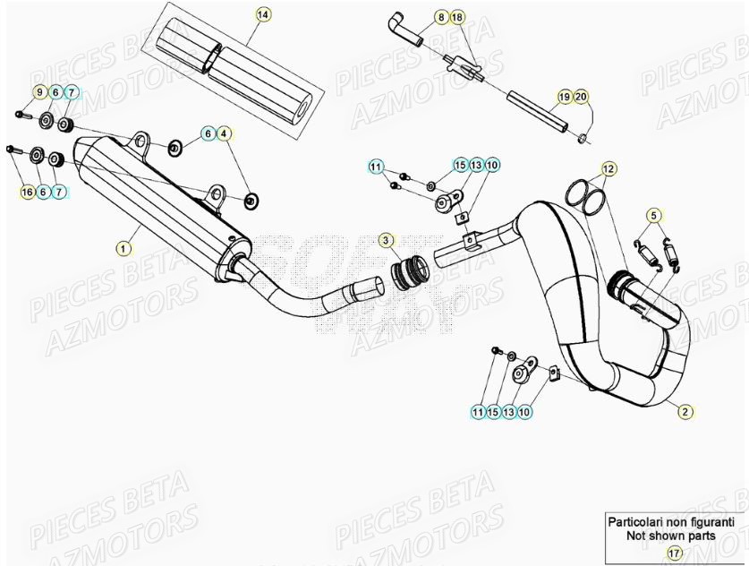 Echappement BETA Pieces BETA RR XTRAINER 250 2T - (2021)