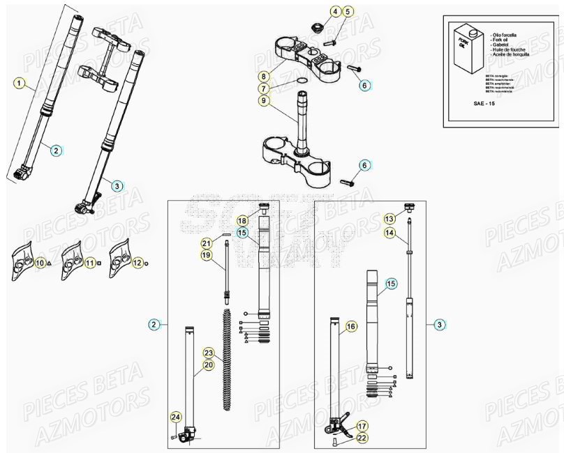 FOURCHE BETA Pieces BETA RR XTRAINER 250 2T - (2021)