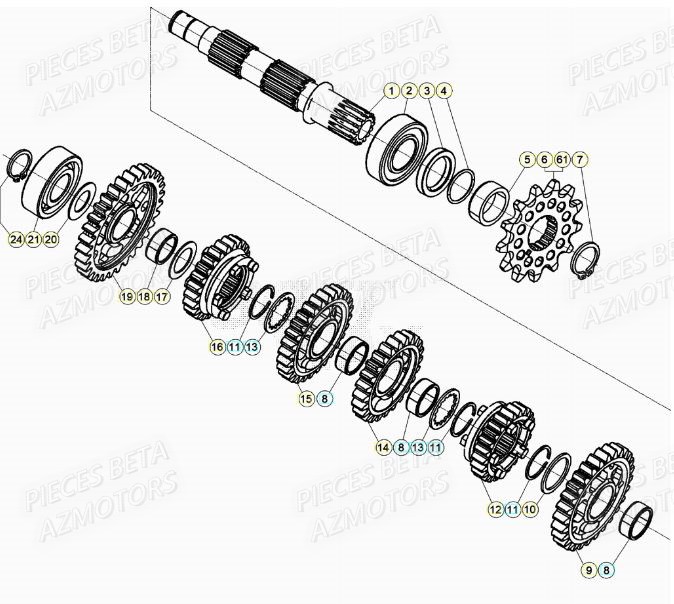 TRANSMISSION BETA Pieces BETA RR XTRAINER 250 2T - (2021)