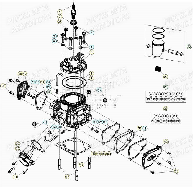 CYLINDRE BETA Pieces BETA RR XTRAINER 250 2T - (2022)