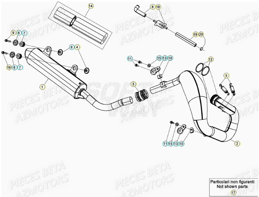 Echappement BETA Pieces BETA RR XTRAINER 250 2T - (2022)