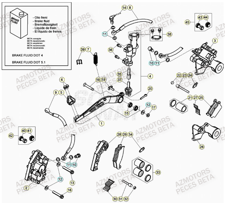 Freins BETA Pieces BETA RR XTRAINER 250 2T - (2023)
