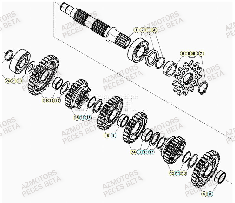 TRANSMISSION BETA Pieces BETA RR XTRAINER 250 2T - (2023)