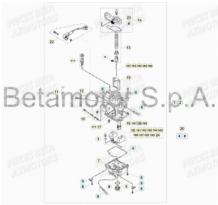 Carburateur BETA Pièces BETA RR XTRAINER 300 2T - [2019]