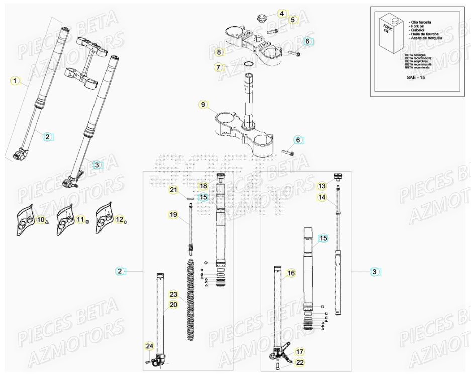 Fourche BETA Pièces BETA RR XTRAINER 300 2T - [2019]