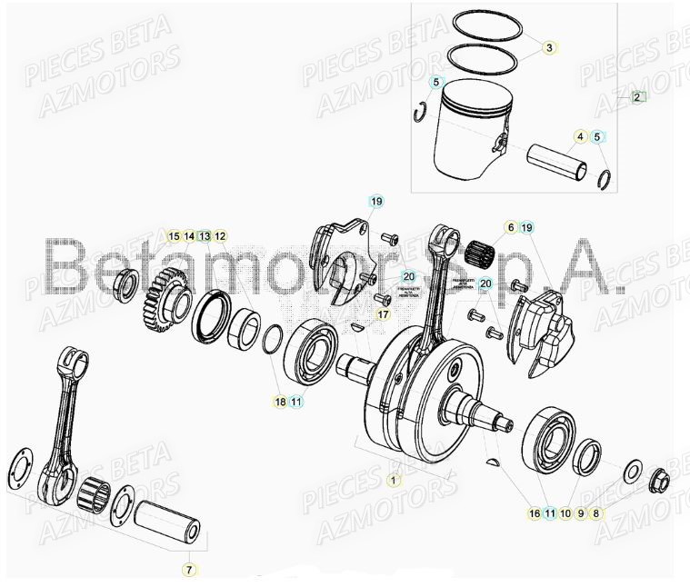 VILEBREQUIN pour XTRAINER 300 MY19