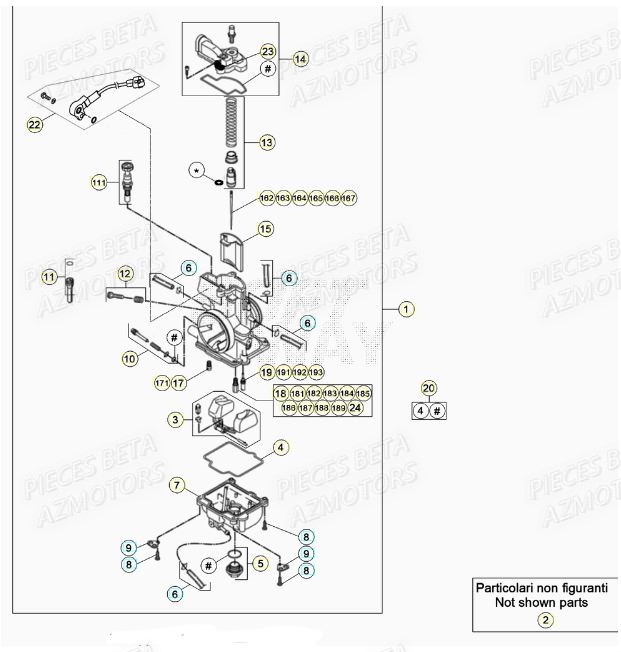 Carburateur BETA Pieces BETA RR XTRAINER 300 2T - (2021)