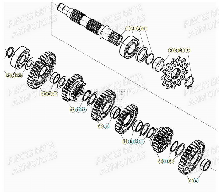 TRANSMISSION BETA Pieces BETA RR XTRAINER 300 2T - (2021)