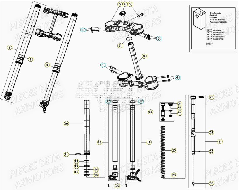 Fourche BETA Pieces BETA RR XTRAINER 300 2T - (2022)