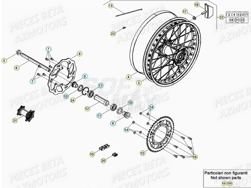 Roue Arriere BETA Pieces BETA RR XTRAINER 300 2T - (2022)