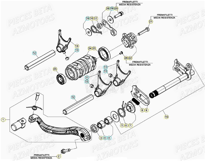 Selecteur De Vitesses BETA Pieces BETA RR XTRAINER 300 2T - (2022) 
