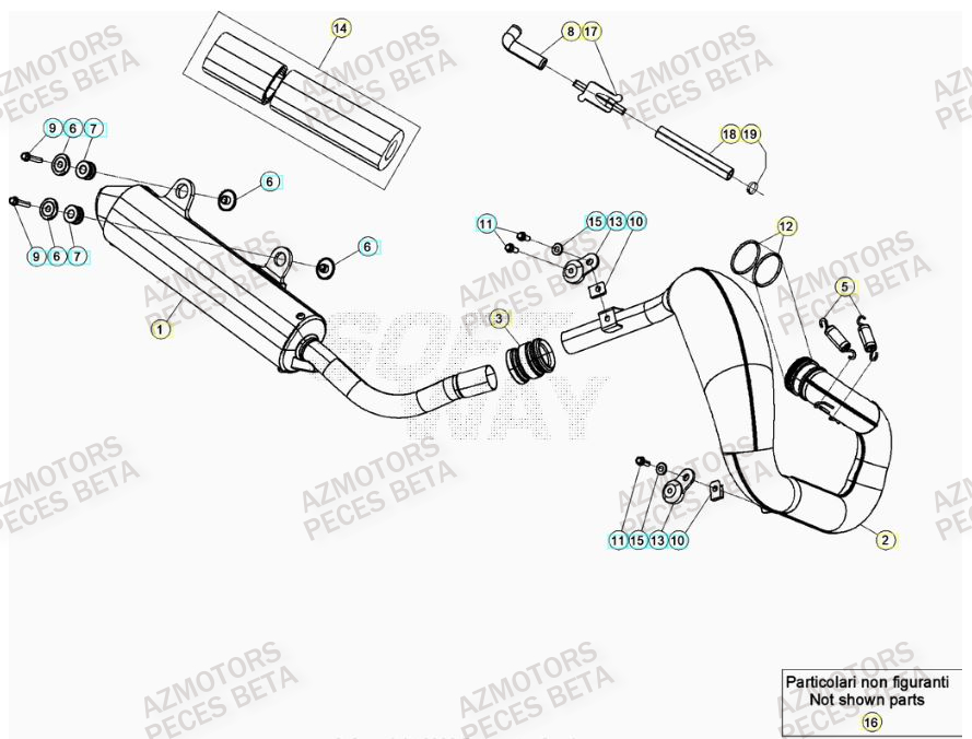 Echappement BETA Pieces BETA RR XTRAINER 300 2T - (2023)