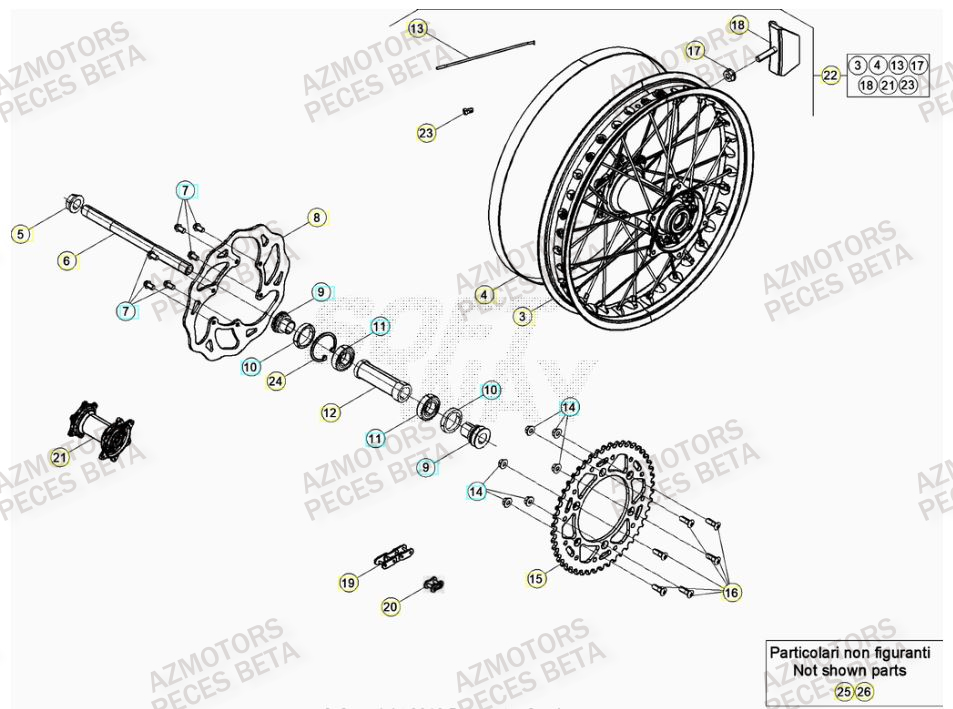 Roue Arriere BETA Pieces BETA RR XTRAINER 300 2T - (2023)