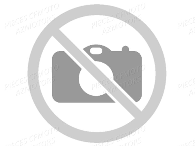 Stickers Securite CFMOTO Pièces Origine CFMOTO ZFORCE 550 EX -T1 (2017)